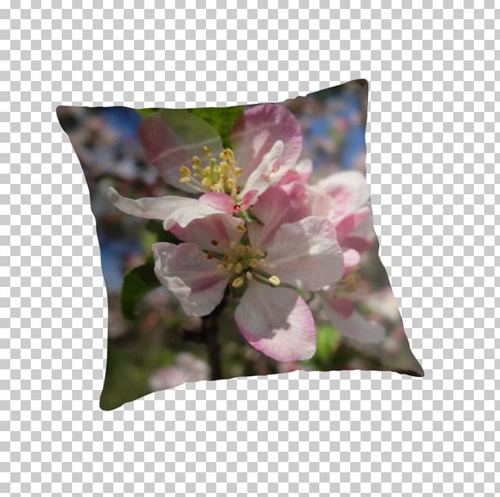 Throw Pillows Cushion Flower Petal PNG, Clipart, Blossom, Cherry, Cherry Blossom, Cushion, Flower Free PNG Download