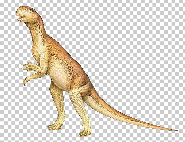 Psittacosaurus Triceratops Tyrannosaurus Brachiosaurus Sauropoda PNG, Clipart, Age Of Dinosaurs, Anchisaurus, Brachiosaurus, Camarasaurus, Cute Free PNG Download