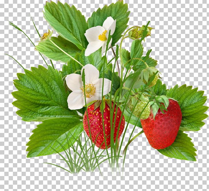 Strawberry Fruit PNG, Clipart, Auglis, Computer Icons, Coreldraw, Cut Flowers, Encapsulated Postscript Free PNG Download
