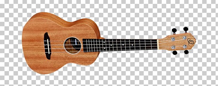 Ukulele Acoustic Guitar Classical Guitar String Instruments PNG, Clipart, Acoustic Electric Guitar, Amancio Ortega, Classical Guitar, Guitar Accessory, People Free PNG Download
