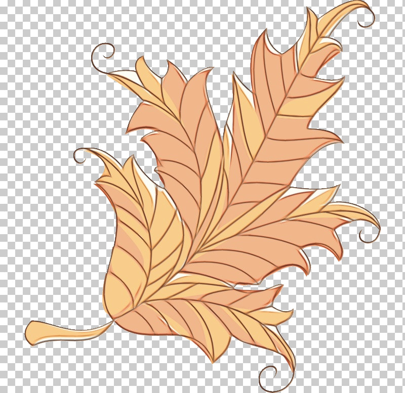 Leaf Flower M-tree Pattern Tree PNG, Clipart, Biology, Flower, Leaf, Mtree, Paint Free PNG Download