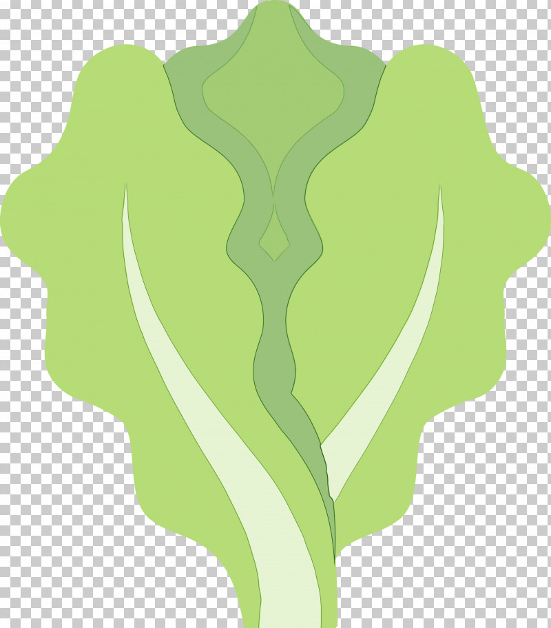 Green Leaf Plant Pattern PNG, Clipart, Green, Leaf, Lettuce, Paint, Plant Free PNG Download