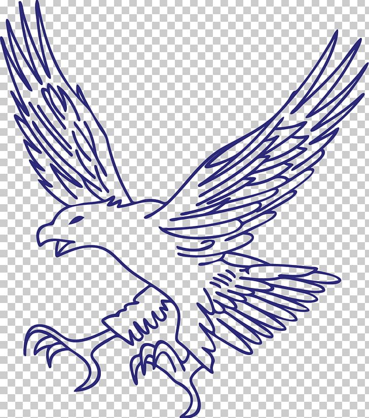 Eagle Hawk PNG, Clipart, Adobe Illustrator, Animals, Area, Art, Beak Free PNG Download