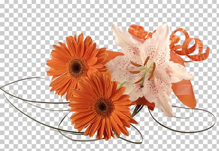 Kindergarten Mother's Day PNG, Clipart, 2017, Barberton Daisy, Child, Cut Flowers, Daisy Family Free PNG Download