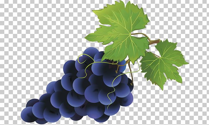 Food Photography Grape PNG, Clipart, Download, Drawing, Encapsulated Postscript, Food, Fruit Free PNG Download