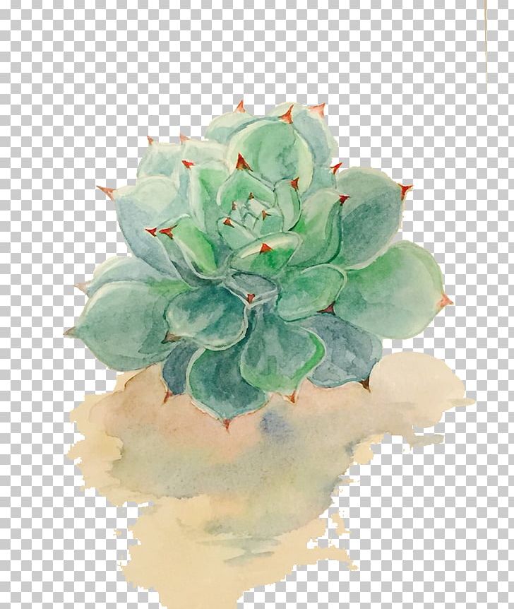 Succulent Plant Watercolor Painting Drawing PNG, Clipart, Color, Color Of Lead, Download, Fleshy, Floral Design Free PNG Download