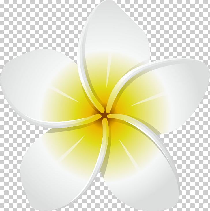 Yellow Flower Photography PNG, Clipart, Common Sunflower, Flower, Frangipani, Green, Nature Free PNG Download
