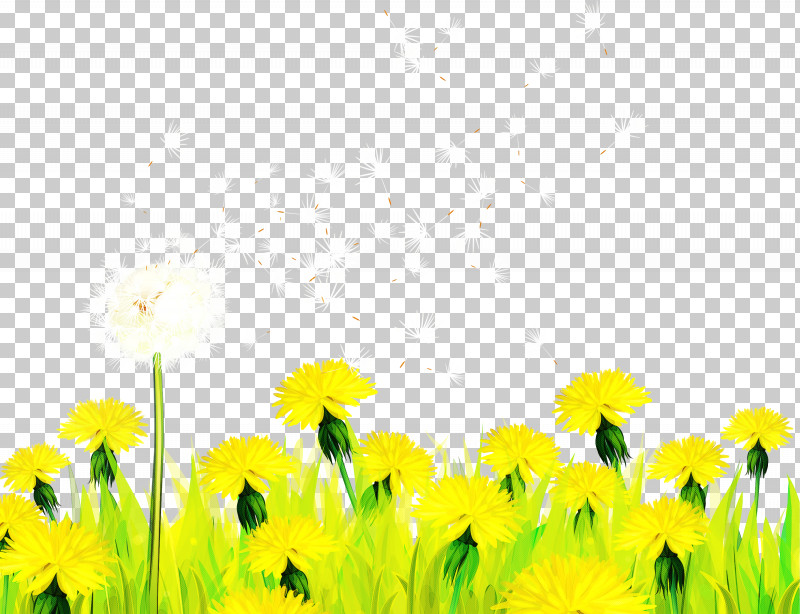 Sunflower PNG, Clipart, Daisy Family, Dandelion, Field, Flower, Grass Free PNG Download