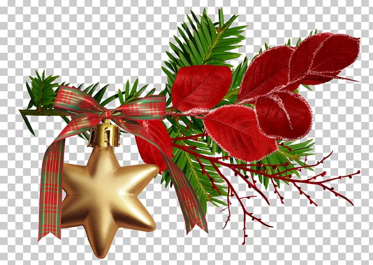 Christmas PNG, Clipart, Branch, Christmas, Christmas Decoration, Christmas Ornament, Com Free PNG Download