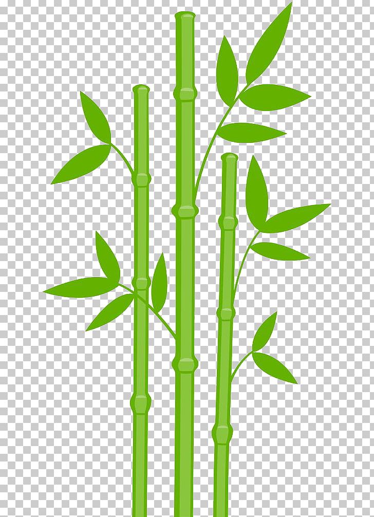 Giant Panda Bamboo PNG, Clipart, Art, Bamboo, Clip Art, Color, Download Free PNG Download