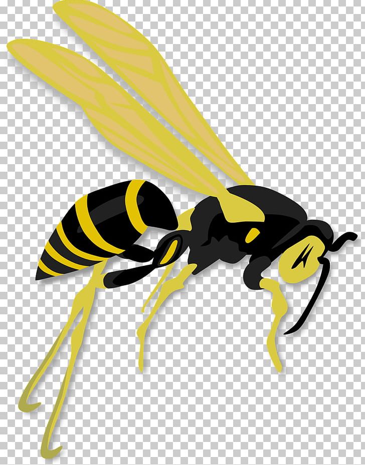 Hornet Bee Wasp PNG, Clipart, Arthropod, Bee, Bees, Business, Business Card Free PNG Download