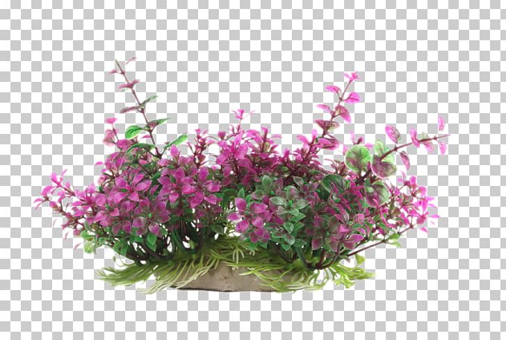 Aquarium Gardening Landscaping PNG, Clipart, Annual Plant, Artificial Flower, Branch, Flower, Flower Arranging Free PNG Download
