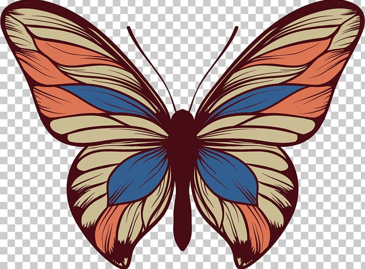 Butterfly PNG, Clipart, Adobe Illustrator, Animal, Brush Footed Butterfly, But, Butterflies Free PNG Download