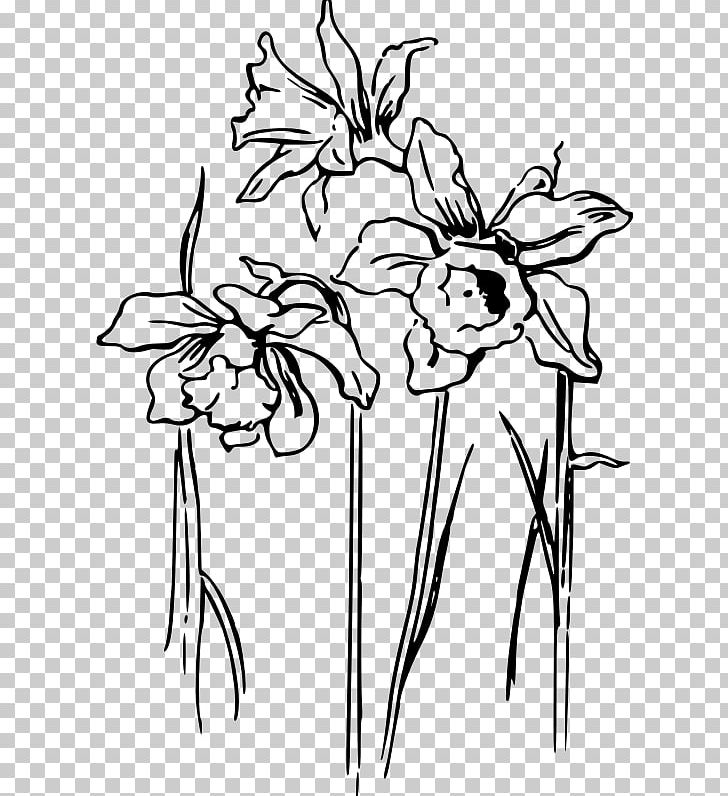 Floral Design I Wandered Lonely As A Cloud Drawing Daffodil PNG, Clipart, Artwork, Black, Black And White, Botany, Branch Free PNG Download