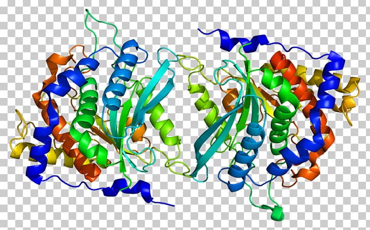 QPCT Glutaminyl-peptide Cyclotransferase Protein Gene Enzyme PNG, Clipart, Active Site, Art, Dna, Enzyme, Gene Free PNG Download