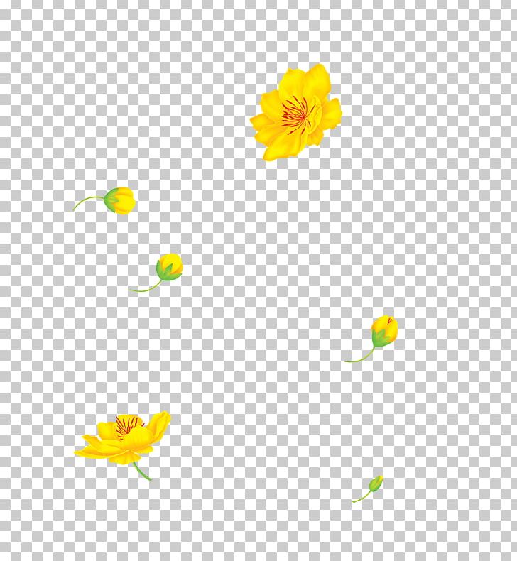Desktop Computer Flowering Plant Font PNG, Clipart, Computer, Computer Wallpaper, Desktop Wallpaper, Flora, Flower Free PNG Download