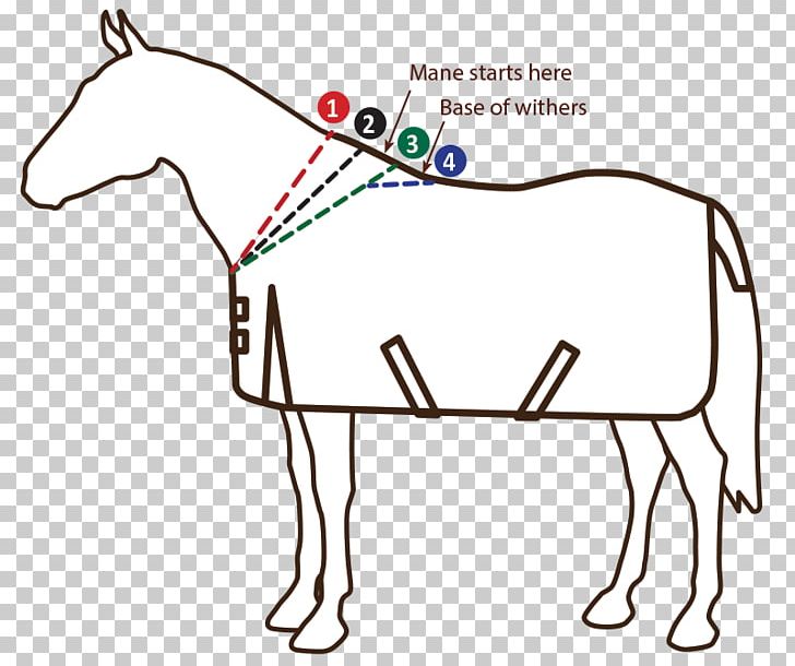 Mustang Halter Pack Animal Rein PNG, Clipart, 2019 Ford Mustang, Area, Ford Mustang, Halter, Head Free PNG Download