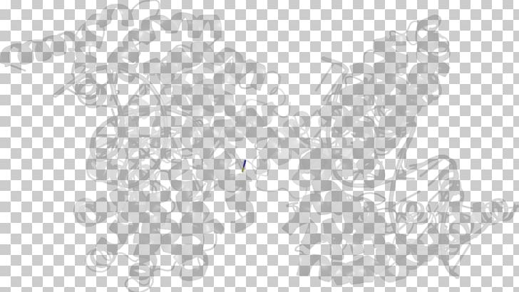 White Line Art Angle PNG, Clipart, Angle, Art, Black, Black And White, Fructose 26bisphosphate Free PNG Download
