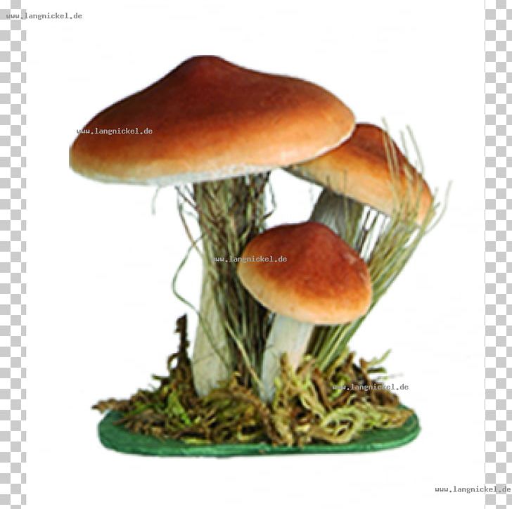 Edible Mushroom Fungus PNG, Clipart, Braun Strowman, Edible Mushroom, Fungus, Ingredient, Mushroom Free PNG Download
