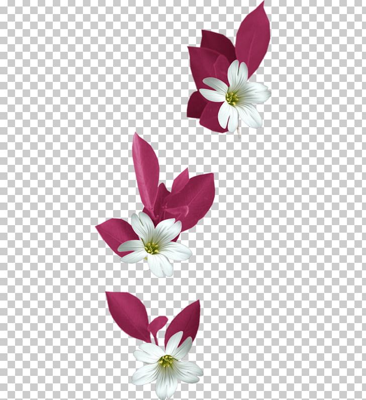 Flower Bokmxc3xa4rke PNG, Clipart, Black White, Blossom, Christmas Decoration, Decorative, Encapsulated Postscript Free PNG Download