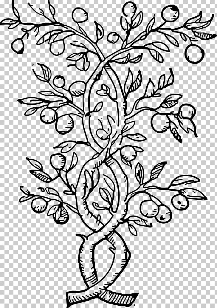 Fruit Tree Olive Coloring Book PNG, Clipart, Apple, Area, Art, Black And White, Branch Free PNG Download