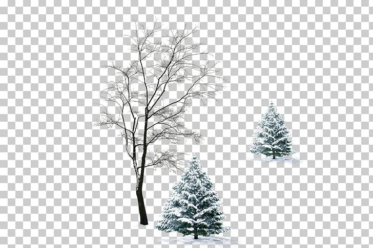 Winter Tree Cloak Infant PNG, Clipart, Black And White, Branch, Cape, Christmas Decoration, Christmas Ornament Free PNG Download