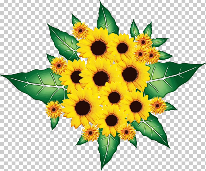 Sunflower PNG, Clipart, Cut Flowers, Flower, Leaf, Paint, Plant Free PNG Download