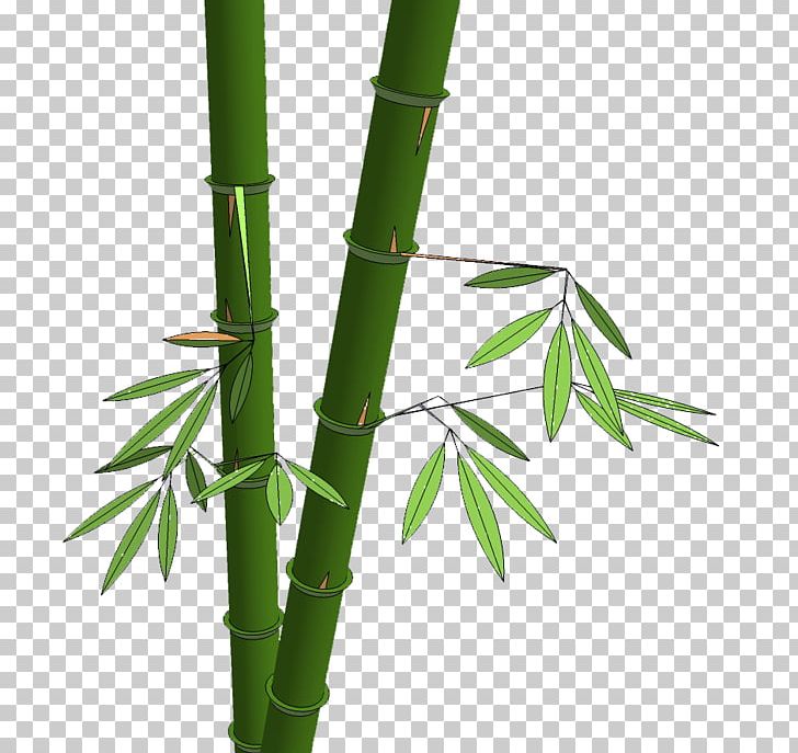 Bamboo Shoot Hsinchu PNG, Clipart, Bamboe, Bamboo, Bamboo Leaves, Bamboo Material, Bamboo Pattern Free PNG Download