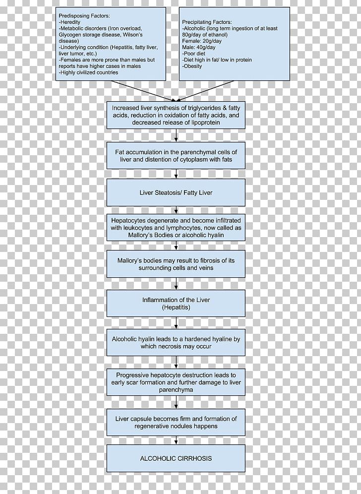 Cirrhosis Hepatic Encephalopathy Nursing Care Plan Liver PNG, Clipart, Alcoholic Hepatitis, Alcoholism, Area, Cirrhosis, Diagram Free PNG Download