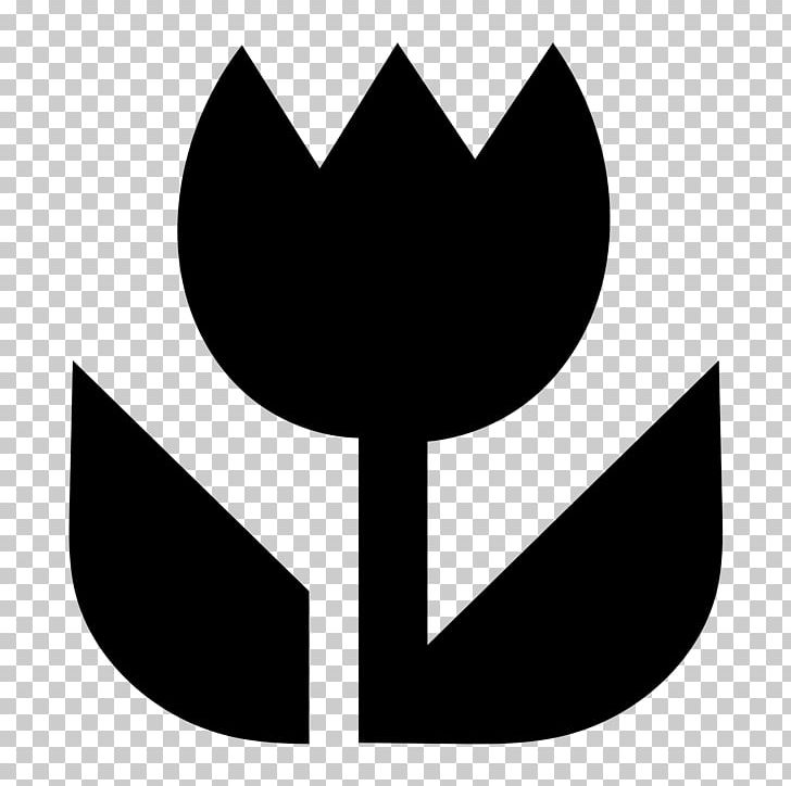 Macro Photography Computer Icons Camera PNG, Clipart, Black And White, Camera, Cicek, Computer Icons, Flowering Plant Free PNG Download