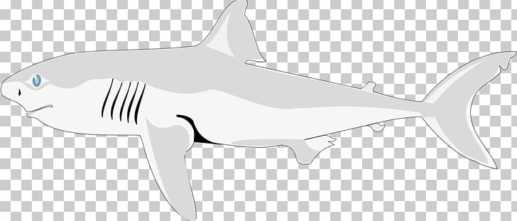 Tiger Shark Chondrichthyes Fish Requiem Shark PNG, Clipart, Animal, Animal Figure, Animals, Biology, Black Free PNG Download