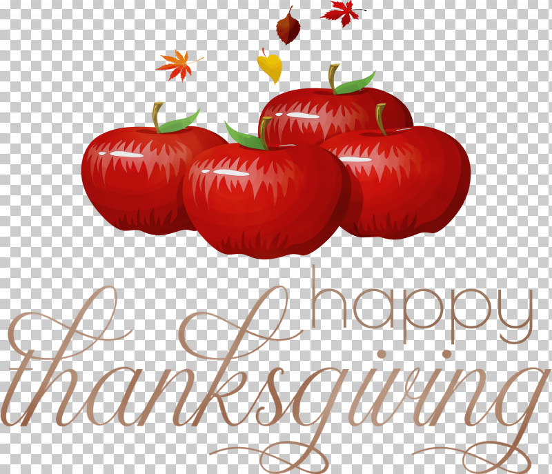 Tomato PNG, Clipart, Fruit, Happy Thanksgiving, Local Food, Meter, Natural Foods Free PNG Download