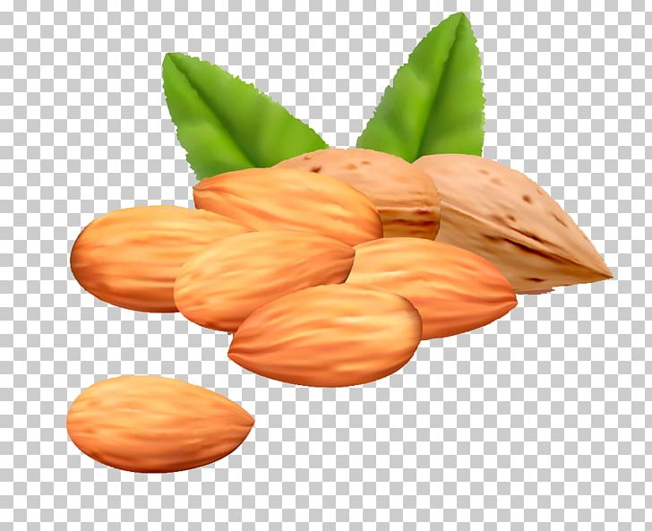 Almond Euclidean PNG, Clipart, Almond, Almond, Almond Milk, Almond Nut, Almond Nuts Free PNG Download