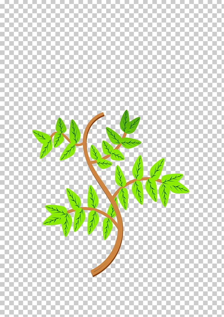 Branch Leaf Tree PNG, Clipart, Area, Autumn Leaf Color, Branch, Branch Leaves Cliparts, Canopy Free PNG Download