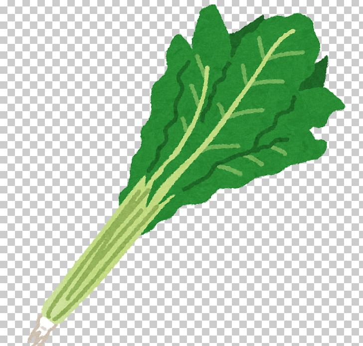 Chard Nozawana Komatsuna Vegetable Spring Greens PNG, Clipart, Allium Fistulosum, Chard, Collard Greens, Food, Food Drinks Free PNG Download