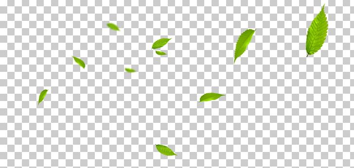 Green Pattern Png Clipart Angle Autumn Leaves Banana Leaves Falling Fall Leaves Free Png Download