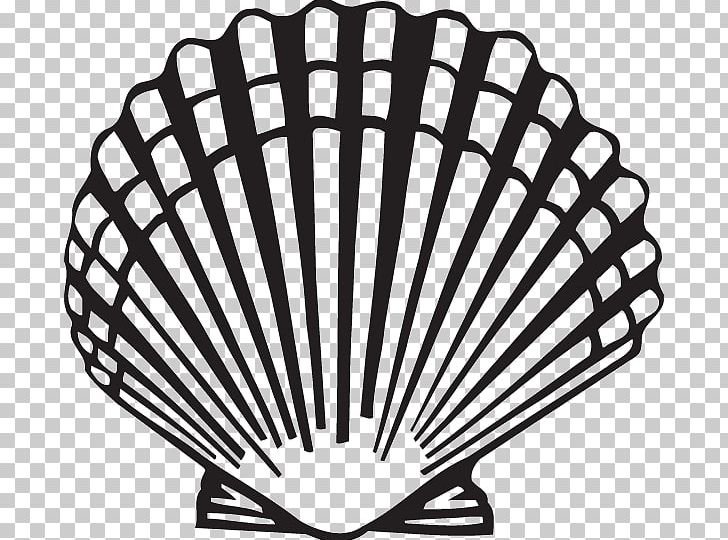 Scallop Clam Seashell PNG, Clipart, Animals, Art, Beach, Black And White, Clam Free PNG Download
