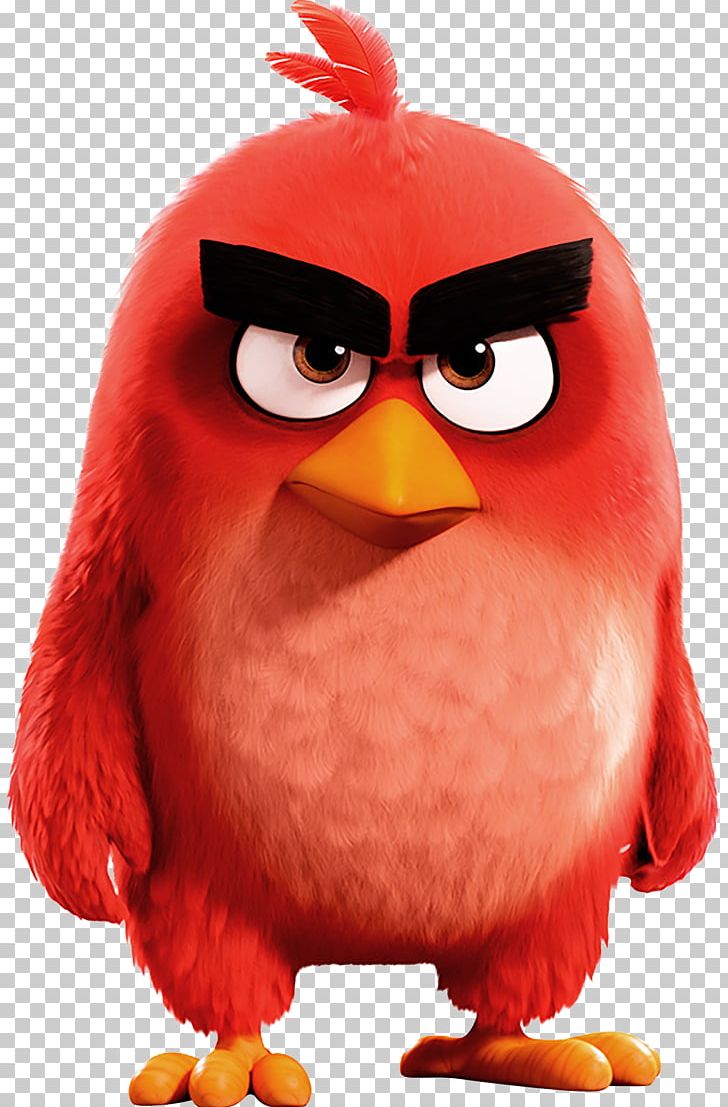 Angry Birds Epic Angry Birds 2 Angry Birds Go! Angry Birds Evolution PNG, Clipart, Angry Birds, Angry Birds 2, Angry Birds Blues, Angry Birds Epic, Angry Birds Evolution Free PNG Download
