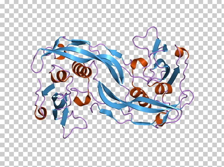 Bone Morphogenetic Protein 2 BMPR1A Bone Morphogenetic Protein Receptor PNG, Clipart, Area, Art, Bone, Bone Morphogenetic Protein, Cell Free PNG Download