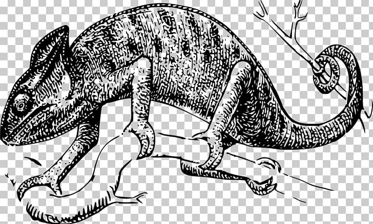 Chameleons Lizard Reptile Drawing PNG, Clipart, Animals, Art, Artwork, Black And White, Bukalemun Free PNG Download