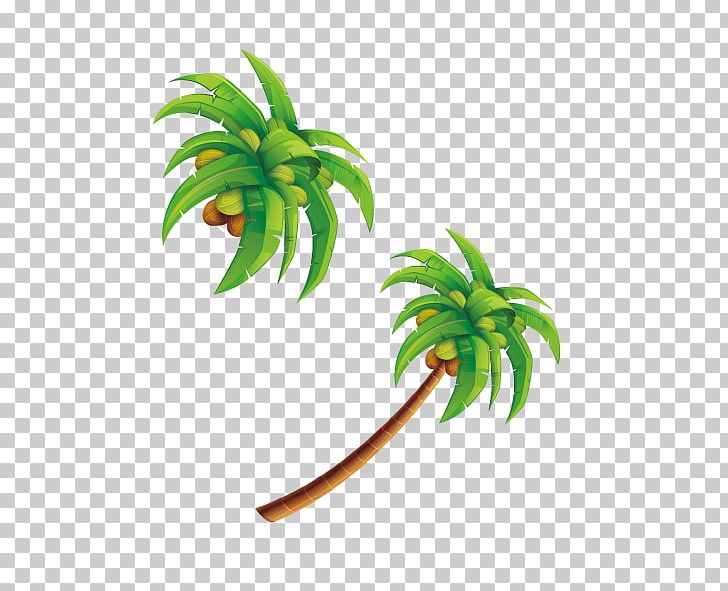 Coconut Water Leaf PNG, Clipart, Adobe Illustrator, Cartoon, Christmas Tree, Coconut, Coconut Tree Free PNG Download