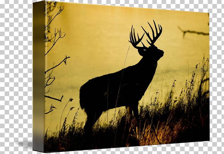 Elk Antler Stock Photography Silhouette PNG, Clipart, Animal, Animals, Antler, Deer, Elk Free PNG Download