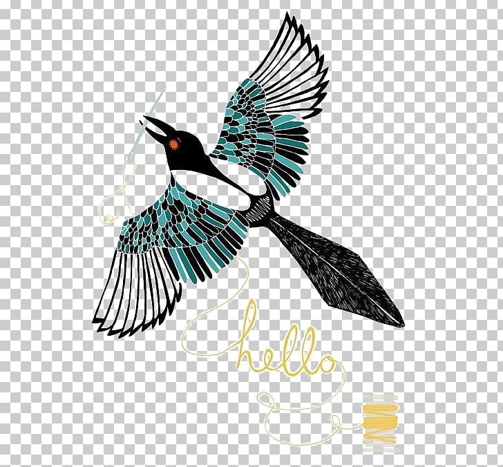 Eurasian Magpie The Birds Of America Bird Art: Using Graphite And Coloured Pencils Illustration PNG, Clipart, Animal, Animals, Art, Beak, Bird Free PNG Download