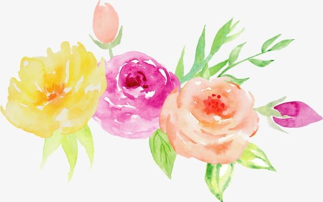 Hand-painted Watercolor Roses Decorative Elements PNG, Clipart, Card ...