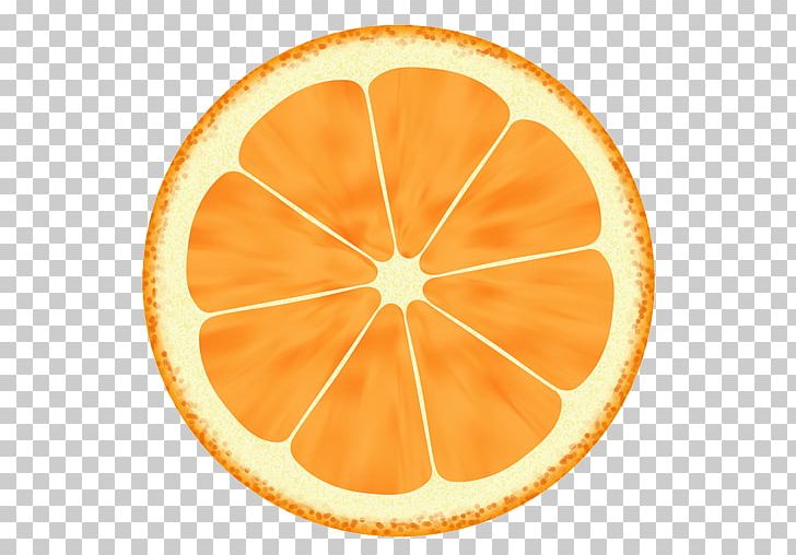 Orange Drawing PNG, Clipart, Art, Circle, Citrus, Clip Art, Computer Icons Free PNG Download