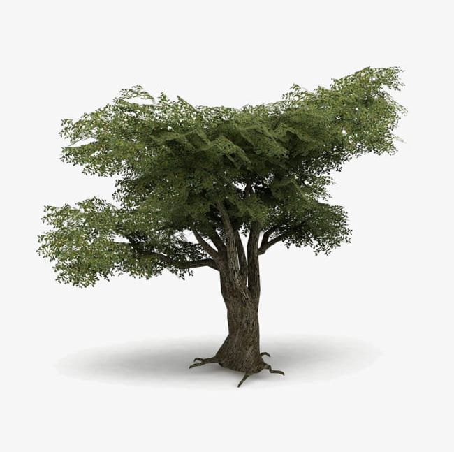 Trees In The Game PNG, Clipart, 3d Trees, Backgrounds, Botany, Branch, Computer Free PNG Download