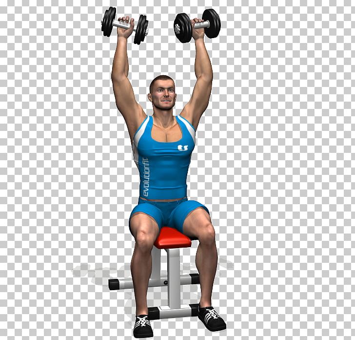 Weight Training Dumbbell Exercise Overhead Press Fly PNG, Clipart, Abdomen, Arm, Bodybuilder, Boxing Glove, Exercise Free PNG Download