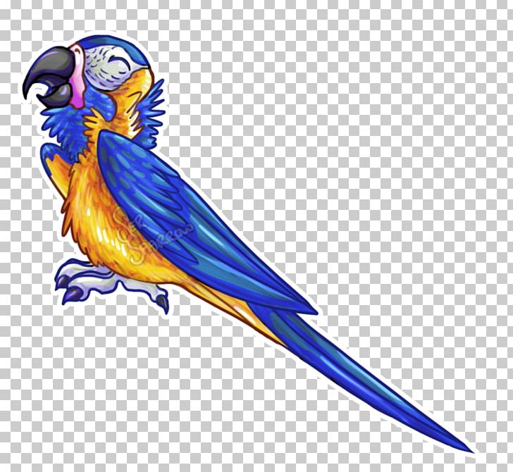 Macaw Feather Beak Wing PNG, Clipart, Art, Beak, Bird, Character, Common Pet Parakeet Free PNG Download