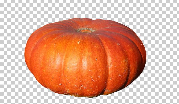 Pumpkin Cucurbita Calabaza Gourd Winter Squash PNG, Clipart, Berry, Botany, Calabaza, Cucumber Gourd And Melon Family, Cucurbita Free PNG Download