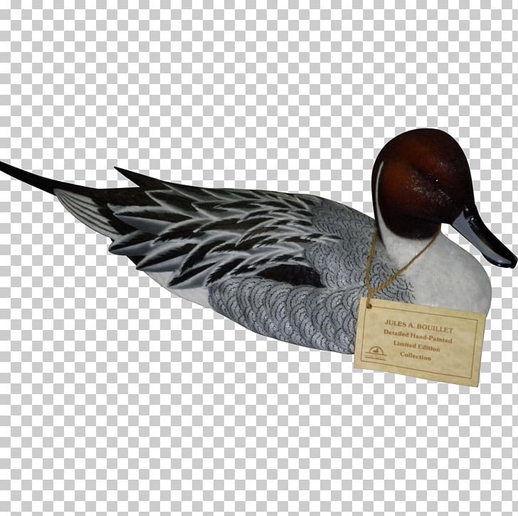 Duck Goose Feather Beak PNG, Clipart, Animals, Beak, Bird, Decoy, Duck Free PNG Download